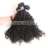Sy Curly Human Braiding Hair, Different Types Of Curly Weave Hair thumbnail-6