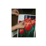 Laser / Inkjet Transfer Paper for Dark T-shirt thumbnail-1