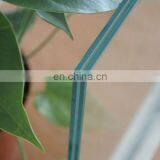 China Supplier Laminated Glass Safety Building Glass for Office Partition Wall thumbnail-6