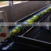 Fruit and Vegetable Cleaning, Waxing, Drying and Grading Production Line thumbnail-3