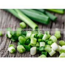 Top Green Onion Cut IQF Green Onion Frozen Foods thumbnail-5