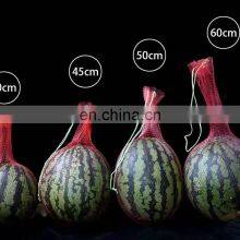 China Factory Wholesale Cheap Strong Bearing Small Net Mesh Bags PP/PE Nylon Vegetable Fruits Mesh Net Bags With Drawstring thumbnail-3