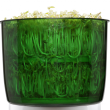 Fully Automatic Green Bean Sprout Sprouting Machine, Intelligent Large Capacity Double Layer Sprouting Seedling （Wechat:13510231336） thumbnail-4