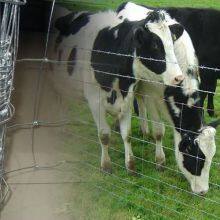 High Tensile Wire Galvanized Farm Fencing Field Fence Made in China thumbnail-2