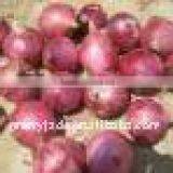 Fresh Red Onion From China thumbnail-1