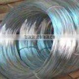 Galvanized Iron Wire (manufactuer)