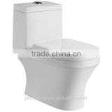 China Bathroom Design Siphonic one piece hospital toilet 228