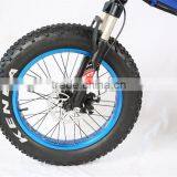 20" Foldable Fat Electric Bike in China thumbnail-3
