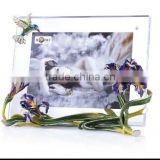 Happiness iris picture frame