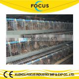 Focus industry hot galvanized chicken battery cage to Mombasa port 3 tiers