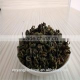 Good taste organic green tea and chinese diabetes tea