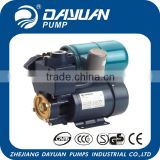 DGP 1'' 2m3/h ac electrical water pump motor small
