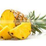 Fresh Victoria Extra Sweet Pineapples New Crop 2014