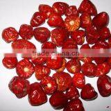 Mundu Red Chilles From Tamilnadu thumbnail-5