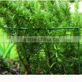 Garden Metal Flower Stick thumbnail-2