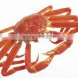 China Made D-glucosamine Hydrochloride Powder thumbnail-6