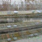 Brand New Rabbit Cage Used in Kenya Farm for Wholesales Cheap Metal Rabbit Cage thumbnail-4