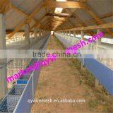 Hot Sale Cheap New Style Chicken Bird Rabbit Dog Small Animal Cage thumbnail-2