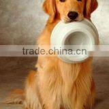 Nachop Chips Process Line thumbnail-2