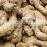 Dried Ginger thumbnail-3