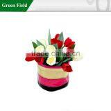 Stylish Flower Pots, Flower Pots Wholesale, Canvas Flower Bag thumbnail-3