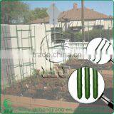 Plastic Coated Steel Garden Stakes for 2016 thumbnail-3
