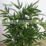 SJ13001217 High Imitation Black Bamboo Tree/fake Bamboo Poles /decorative Bamboo Craft thumbnail-5