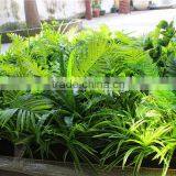 Home and Outdoor Decoration Synthetic Cheap Artificial Vertical Green Grass Wall E10 21X10 thumbnail-2