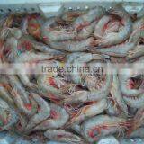 HL002 Sea Catch Skinless Shrimp thumbnail-5