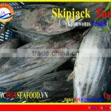 W/R FROZEN SKIPJACK TUNA thumbnail-1
