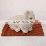Small Electric Dog Heating Pad Pet Cat Puppy Heat Mat S Size Brown Color thumbnail-2