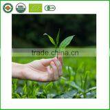 High Quality Wholesale Green Tea Loose Tea thumbnail-6