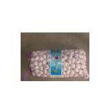 5.0cm Pure White Garlic thumbnail-1