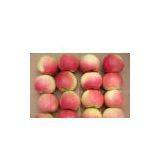 Sell Gala Apple thumbnail-1