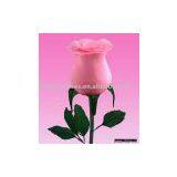 Feather Rose-Prince thumbnail-1