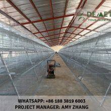 Layer Poultry Farm Cage thumbnail-4