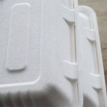 Recyclable Takeaway Bagasse Food Lunch Box thumbnail-2