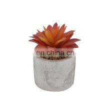 Wholesale Mini Home Decoration Plastic Fake Desk Pot Artificial Succulent Plants thumbnail-5