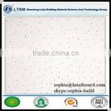 Suspended Ceiling Panel-printing Ciling Tiles thumbnail-4