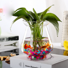 Clear Round Transparent Hydroponic Flower Glass Hyacinth Bud Vase for Home Decoration thumbnail-3