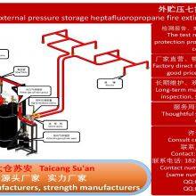 Taicang Su'an External Pressure Heptafluoropropane Gas Fire Extinguishing System (test Report, 3C Complete) thumbnail-2