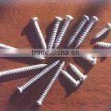 Self Tapping Screw