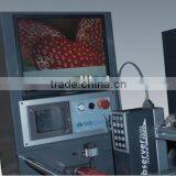 Offset Printing Machine WJPS-350D thumbnail-3