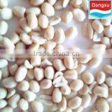 Blanched Peanut Kernels