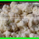 Factory Wholesale Frozen Cauliflower