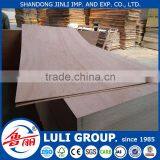 Hot Sale Door Skin Plywood thumbnail-4