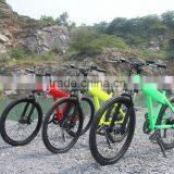 Changzhou Haoling Powfu Rainbow - 2015 New Electric Bicycle/250w Electrical Bicycles, 2 Wheels Family Electric Bike thumbnail-6
