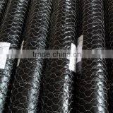 FT-GB4300 Chicken Wire Mesh Welded Plant