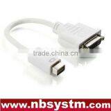 Mini DVI to DVI Cable Adapter
