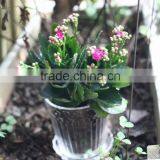 Natural Transparent Decorative Indoor Flower Pots With Tray thumbnail-2